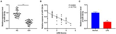 miR-124-3p Inhibits Microglial Secondary Inflammation After Basal Ganglia Hemorrhage by Targeting TRAF6 and Repressing the Activation of NLRP3 Inflammasome